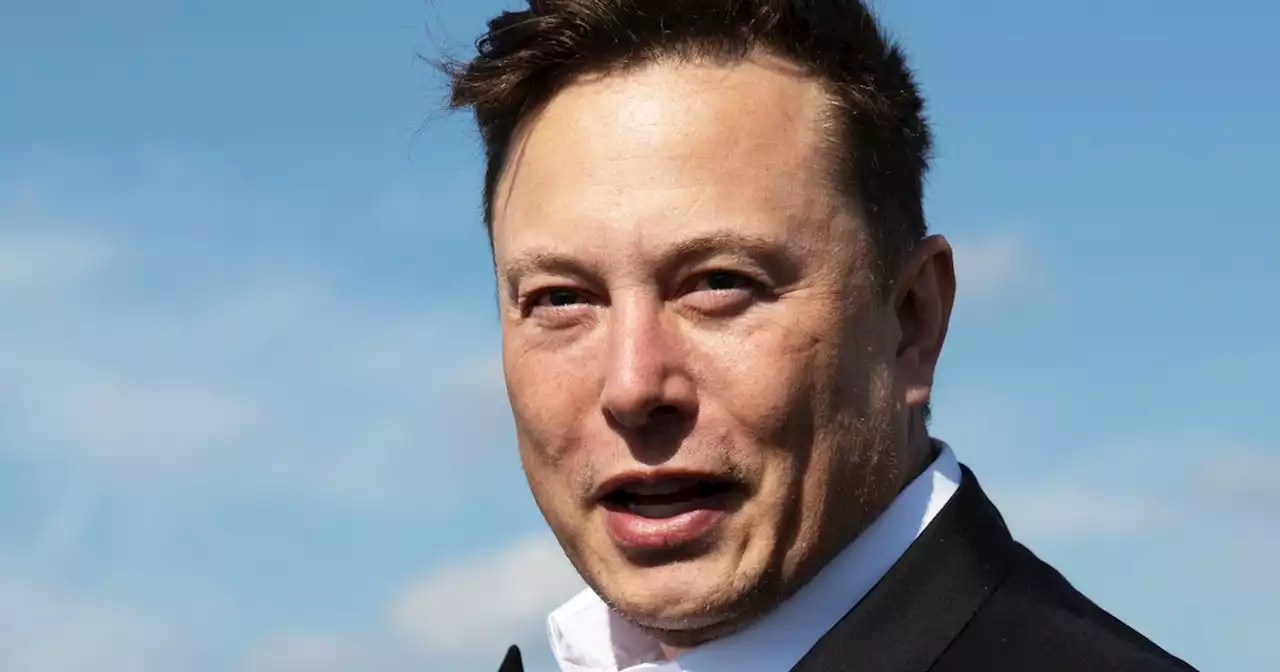 Opinion | Elon Musk wants you to vote GOP. His reasons make no sense.