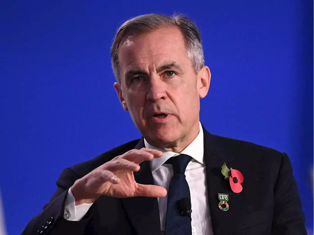 Mark Carney sees 'absolute wall of opportunity' for clean energy investors