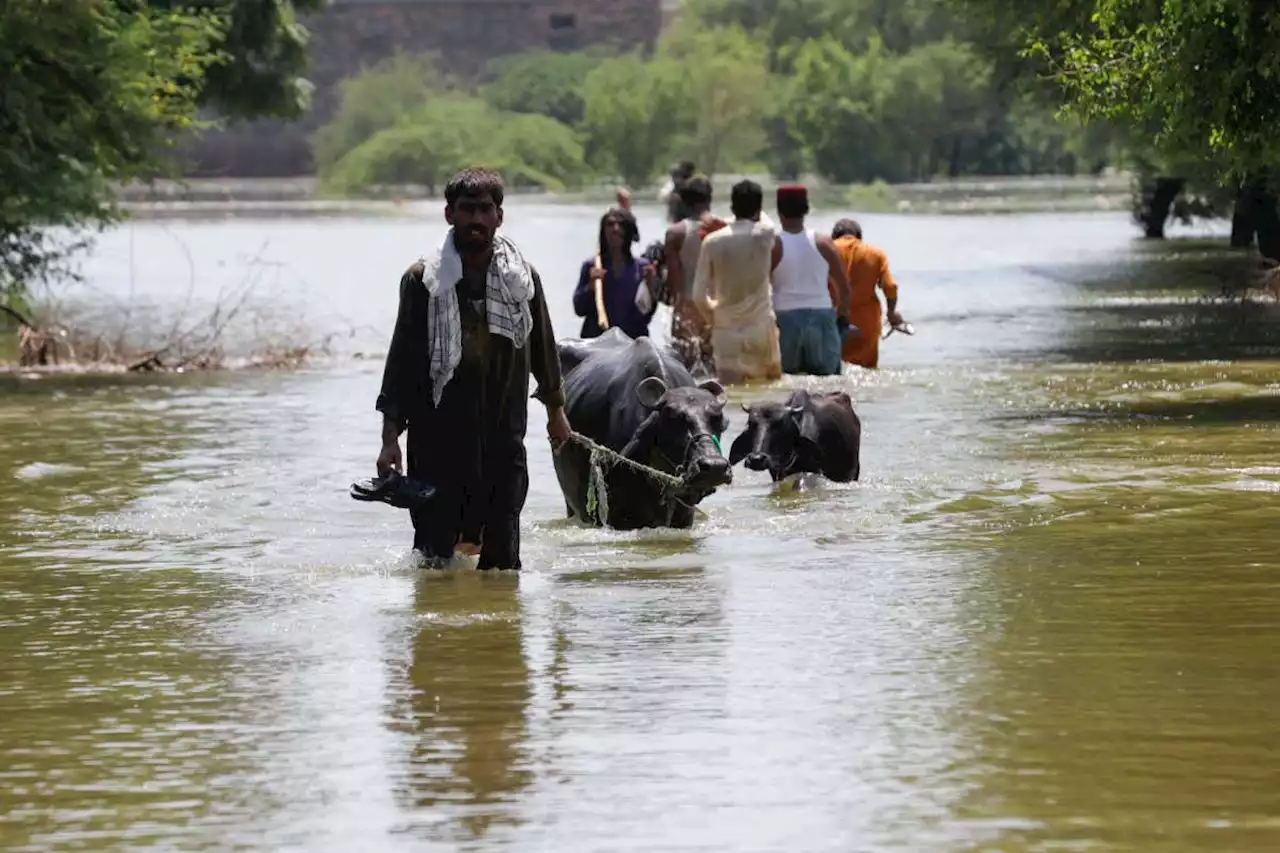 COP27 climate summit will discuss reparations for affected countries