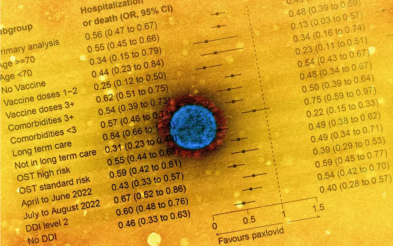 Study shows consistent efficacy of Paxlovid regardless of age, number of vaccinations, comorbidities