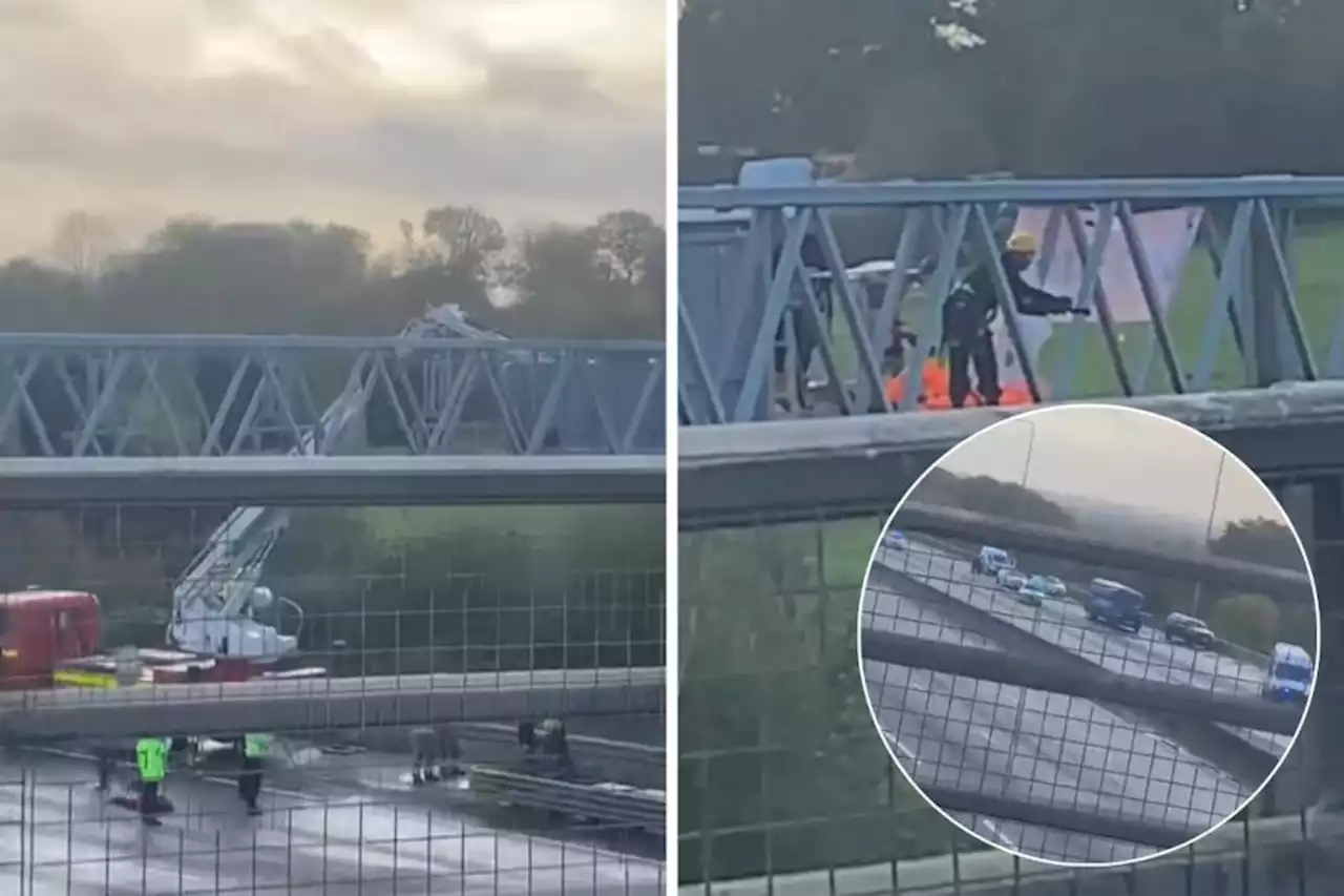 Video shows police response to Just Stop Oil protest above M25