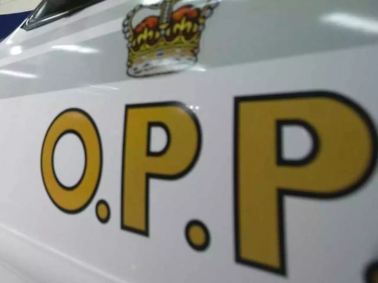 Pembroke resident charged with threatening firefighters dousing bush fire: OPP