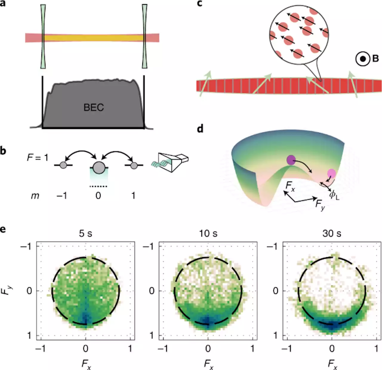 Condensation and thermalization of an easy-plane ferromagnet in a spinor Bose gas - Nature Physics