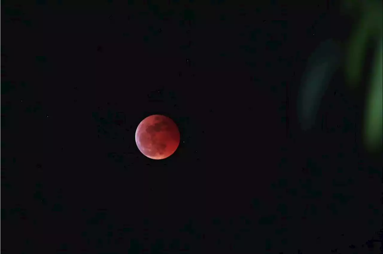 'Beaver blood moon' offers world's last total lunar eclipse until 2025