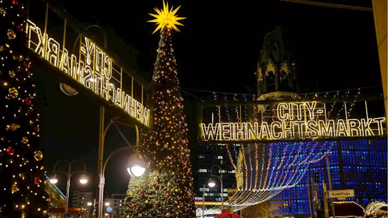 Weihnachtsbaum für den Breitscheidplatz zu groß für den Transport