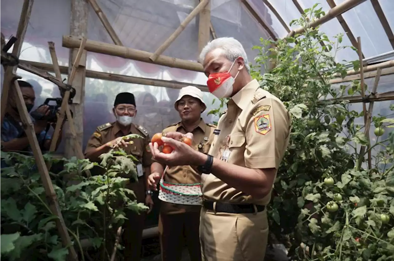 Gubernur Ganjar Pranowo Buka Posko Layanan Pupuk Bersubsidi |Republika Online