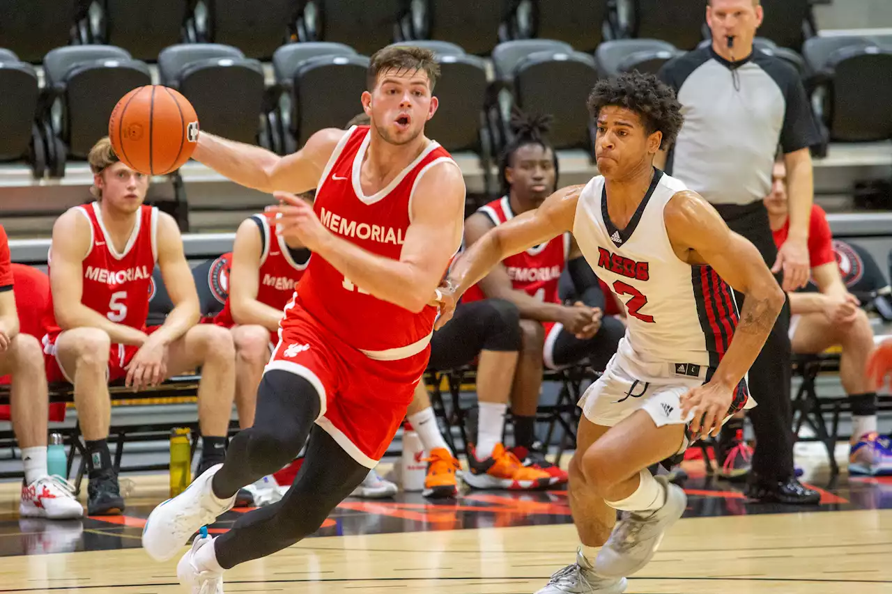 Memorial University basketball teams have varying results against University of New Brunswick in weekend games | SaltWire