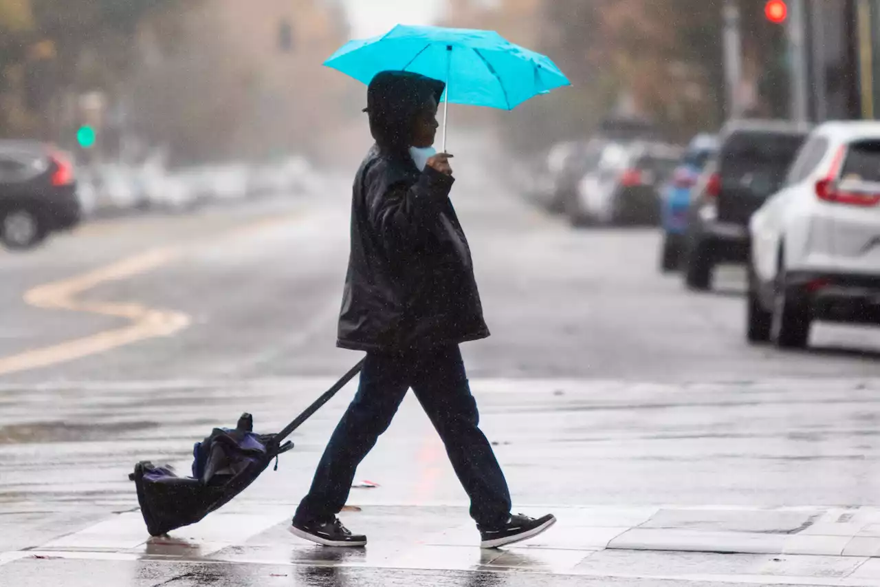 Rainfall adds up to impressive totals across SF Bay Area