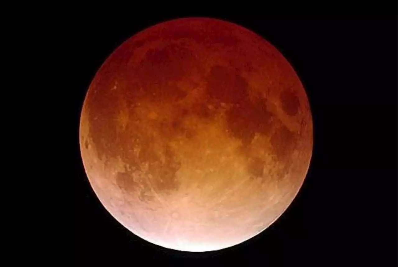 Too cloudy to see beaver blood moon? There's a stream for that