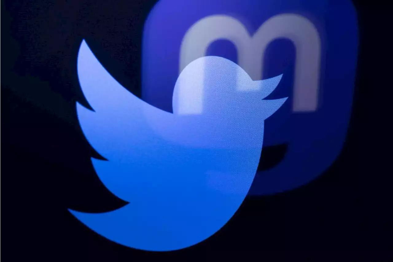 Defectors seek alternatives to Elon Musk-owned Twitter