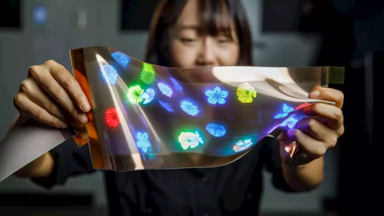 LG’s new stretchable high-res display is bizarre but brilliant