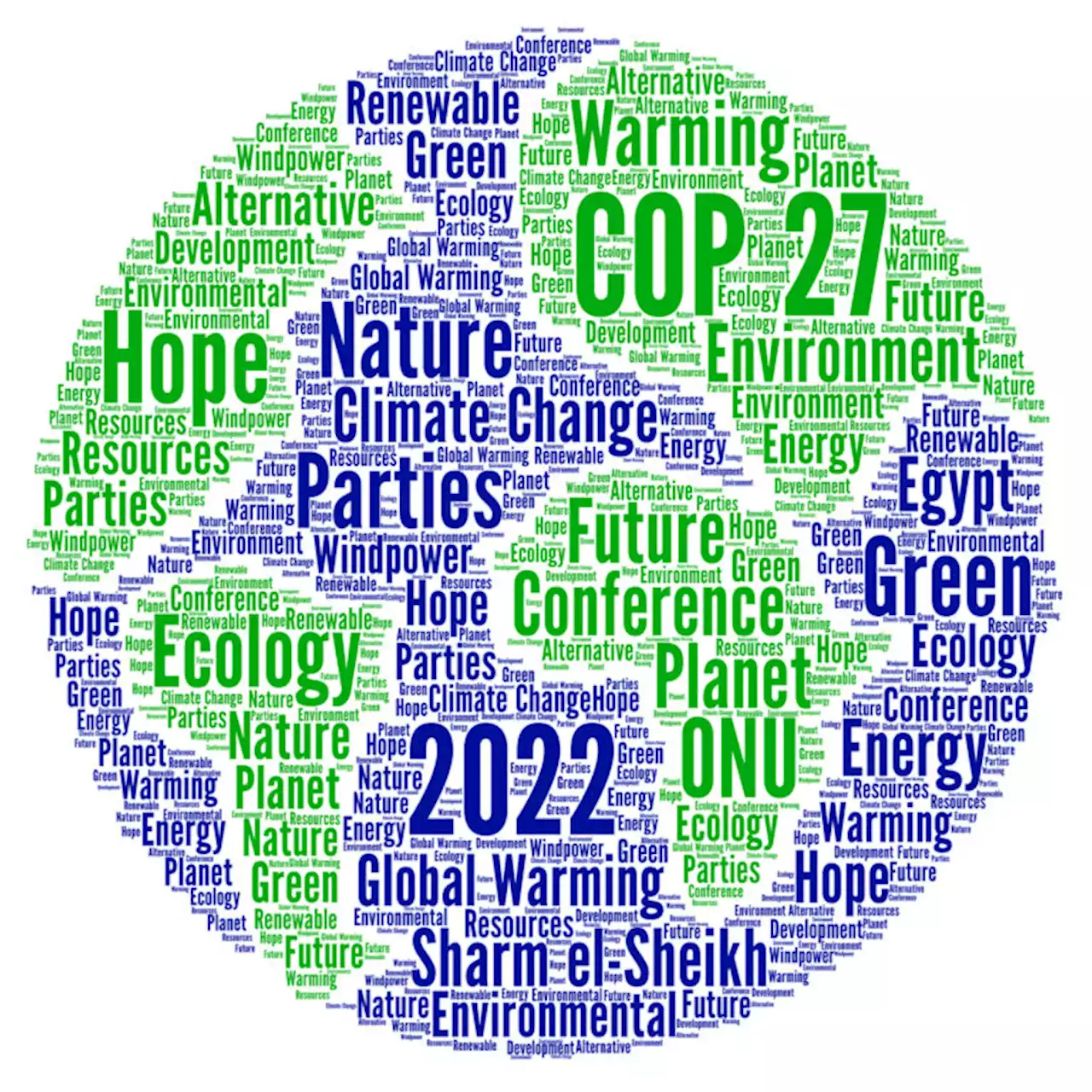 COP27: Investors expect no new commitments, focus on implementation | The Citizen