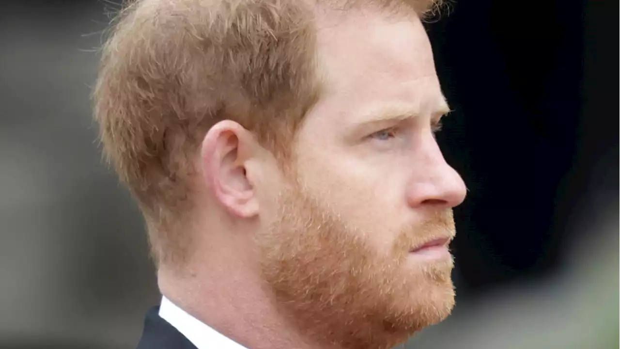 Prince Harry Seeks to Push Back Netflix Series to Bolster Delayed Memoir