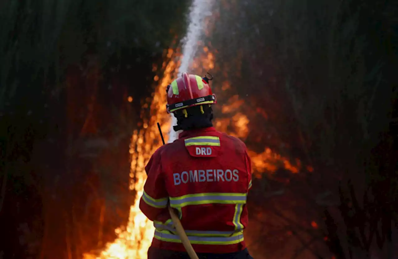 At least 15,000 people killed by hot weather in Europe in 2022, WHO says