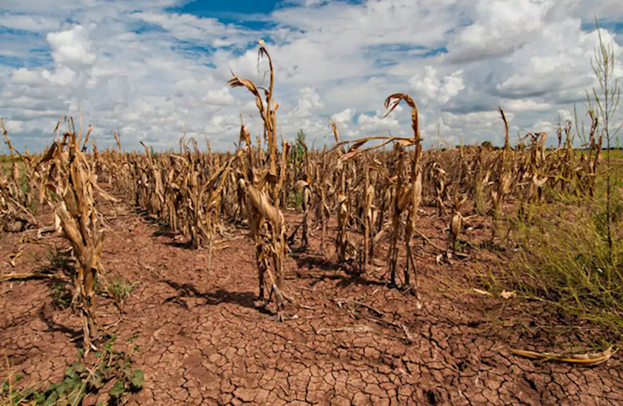 Rich countries told how to protect most vulnerable from climate threats