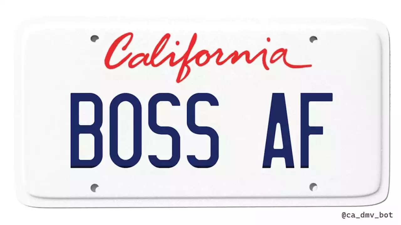 Twitter bot posts the California DMV's vanity plate applications