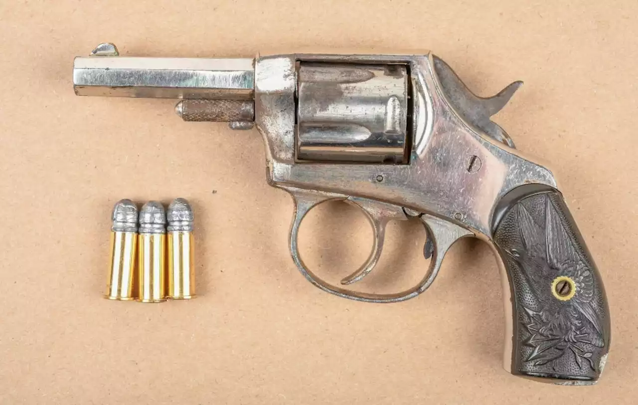 Brampton man charged after revolver found during routine stop