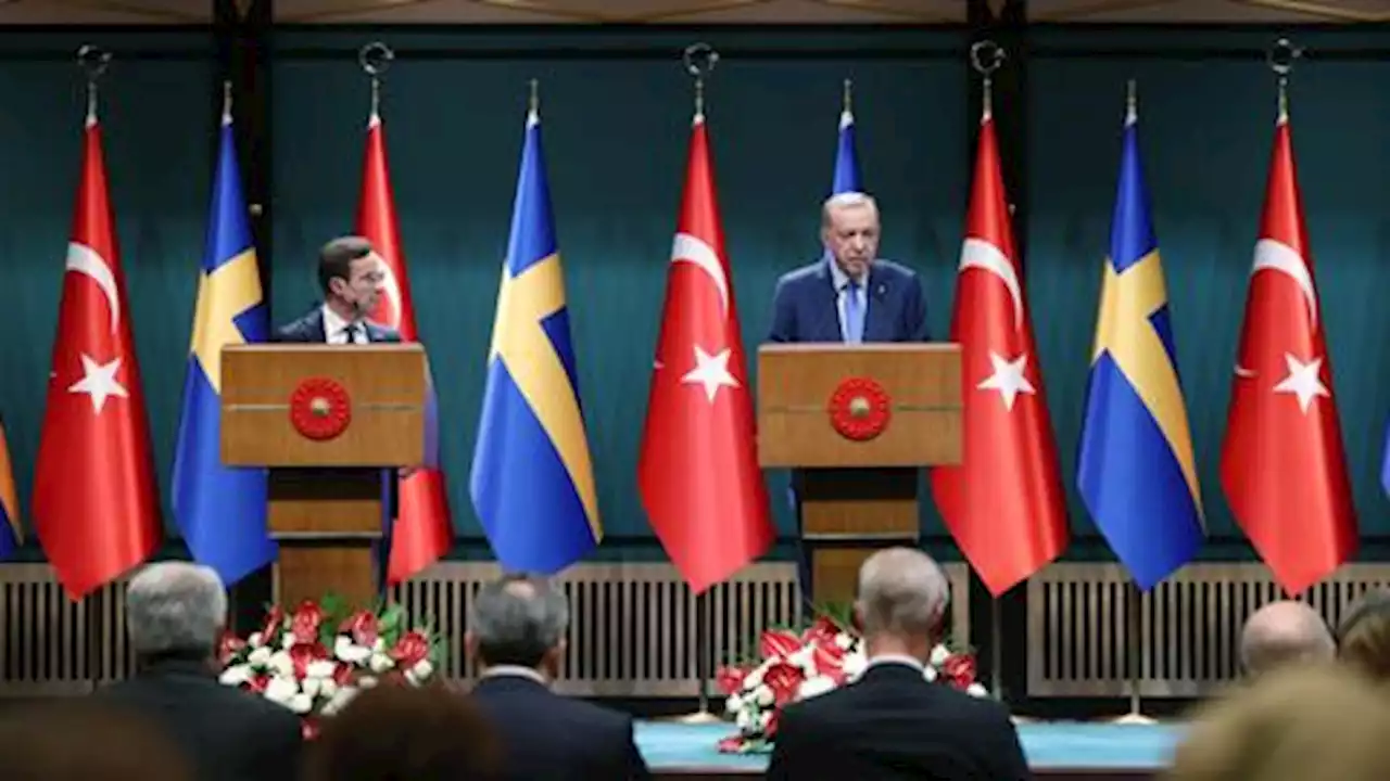 Erdogan: Türkiye expects concrete steps from Sweden for its NATO bid