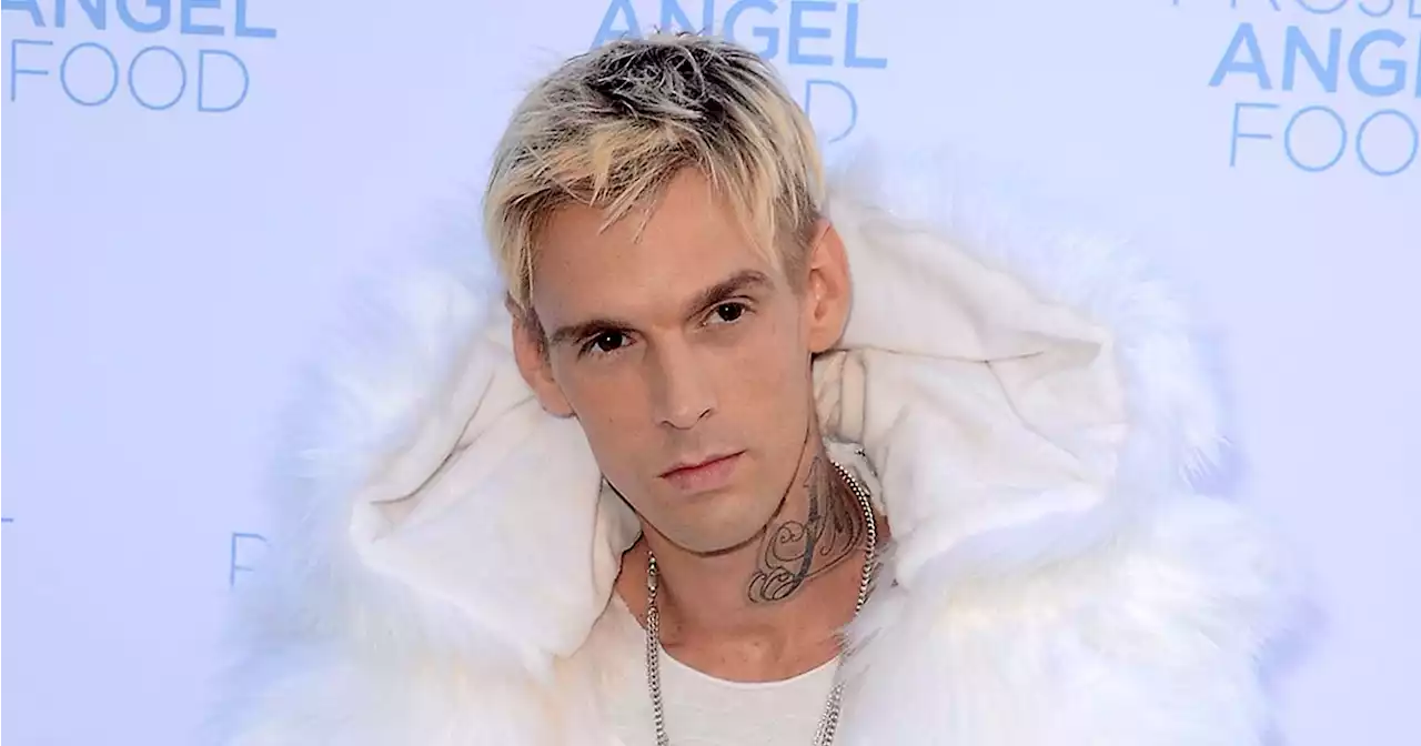 Aaron Carter Was Working on a Sitcom Before His Death: Details