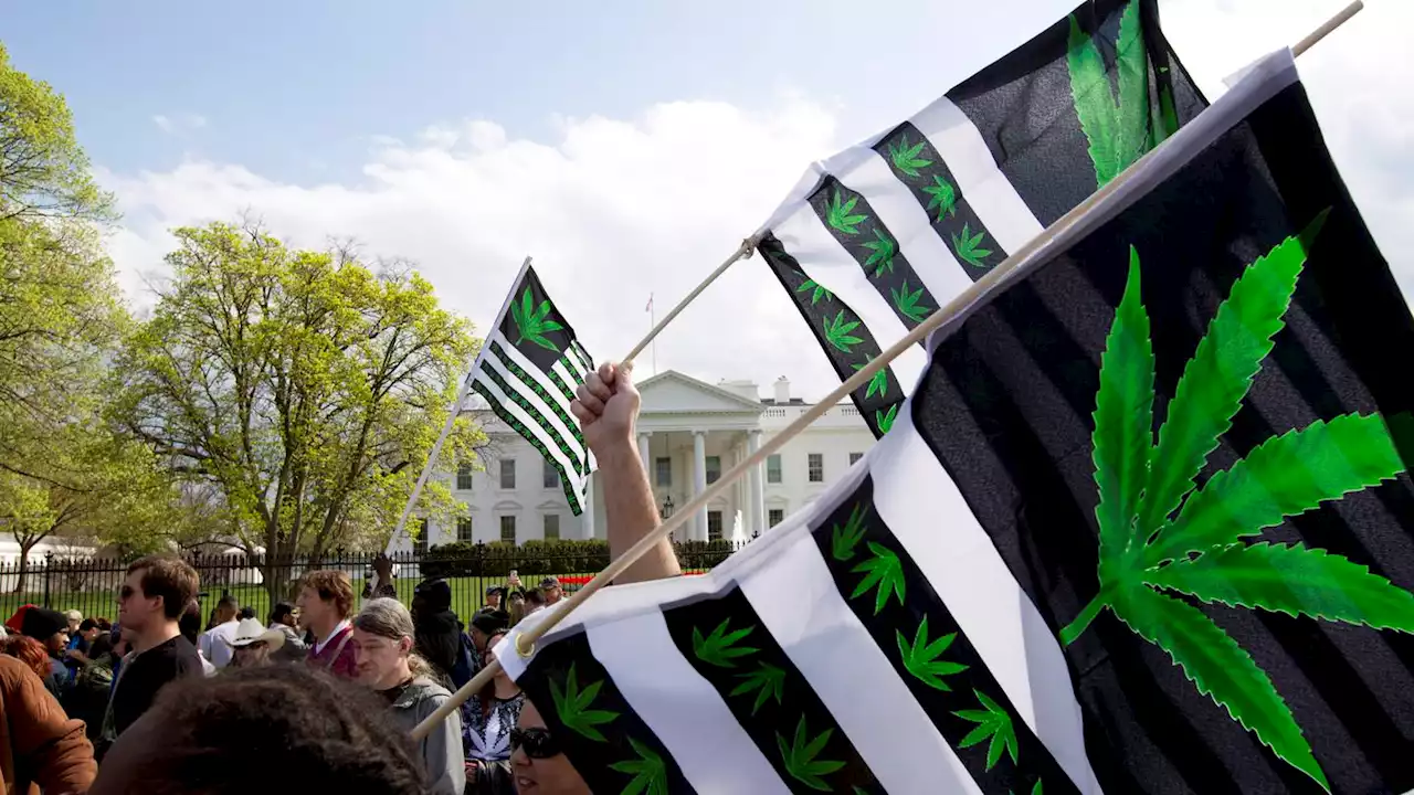 Voters in 5 states decide whether to legalize marijuana