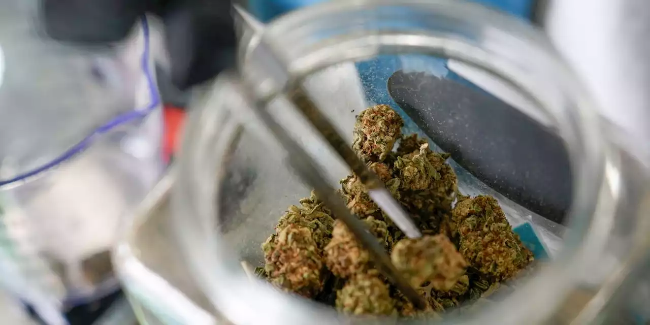 Voters in 5 states decide whether to legalize marijuana