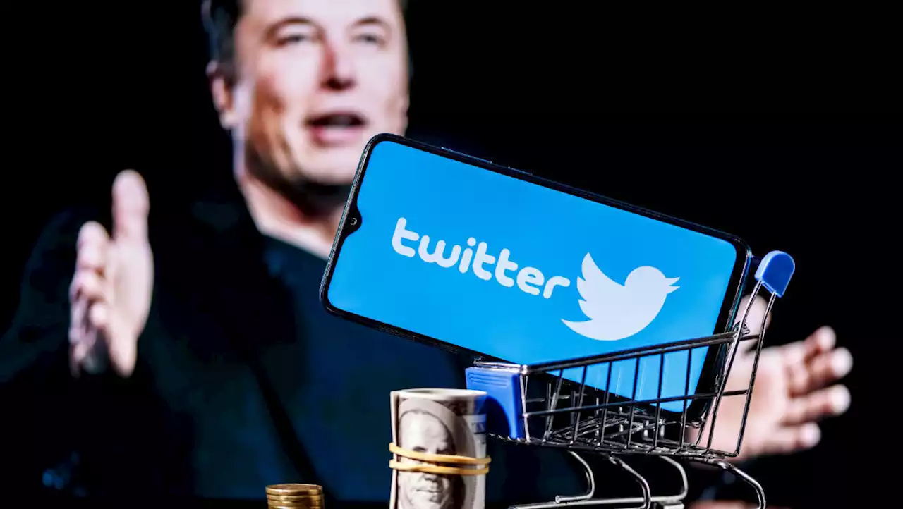 Musk denkt über kostenpflichtiges Twitter nach | W&V