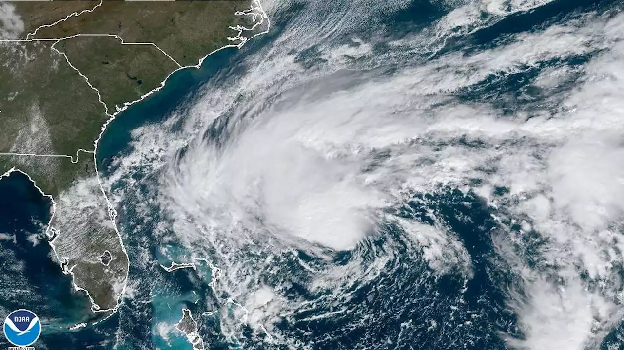 Tropical storm Nicole forecast to hit Florida as a hurricane Wednesday