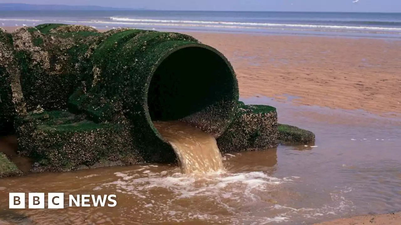 South-east beaches 'hit by unprecedented sewage dumps'