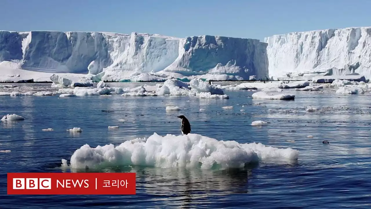 기후변화: 대표적인 잘못된 기후 정보 5가지 - BBC News 코리아