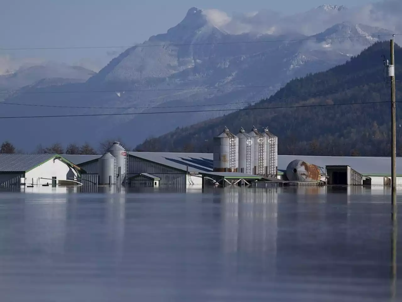 B.C. agriculture minister says sector is recovering well on flooding anniversary