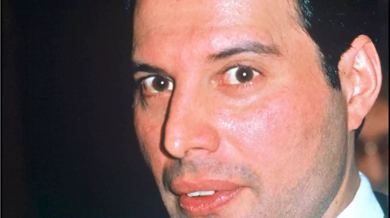 Freddie Mercury : des photos inédites du chanteur quelques jours avant sa mort dévoilées