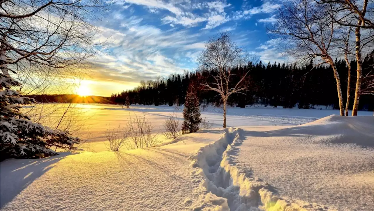 Brr! Record-breaking cold weather hits Alberta