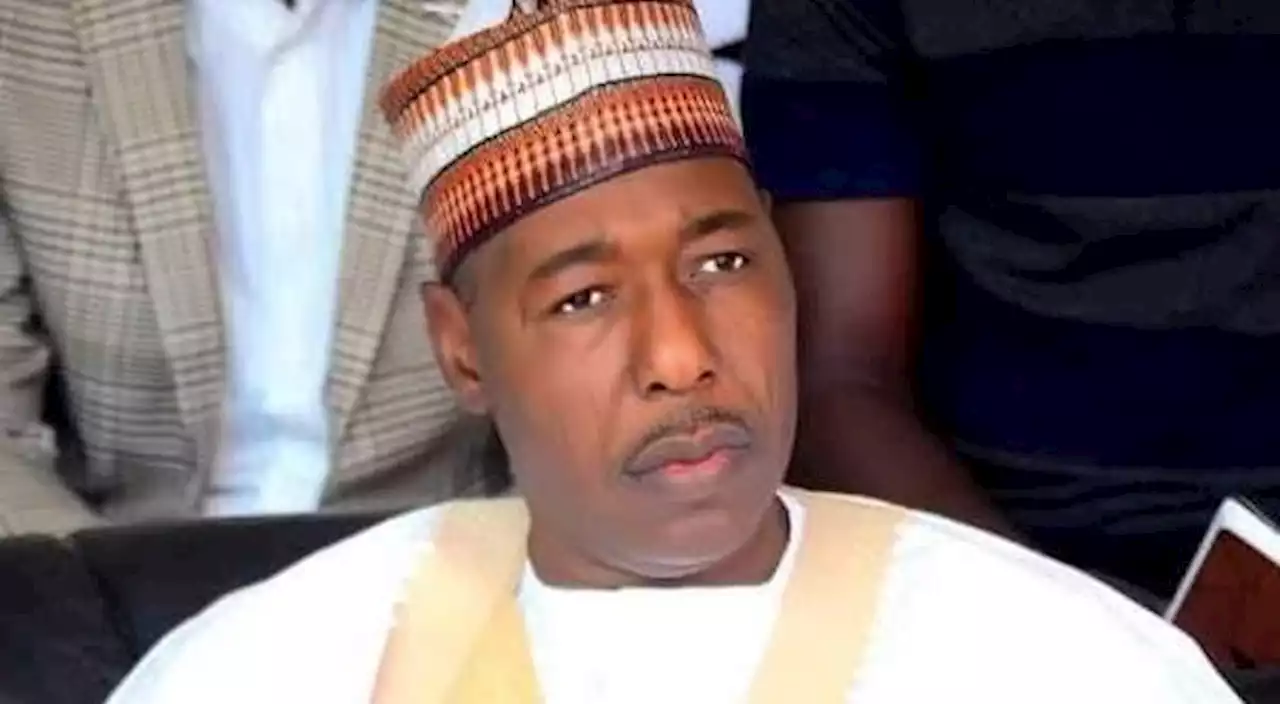 Zulum grants N814m to 9,154 MSMEs