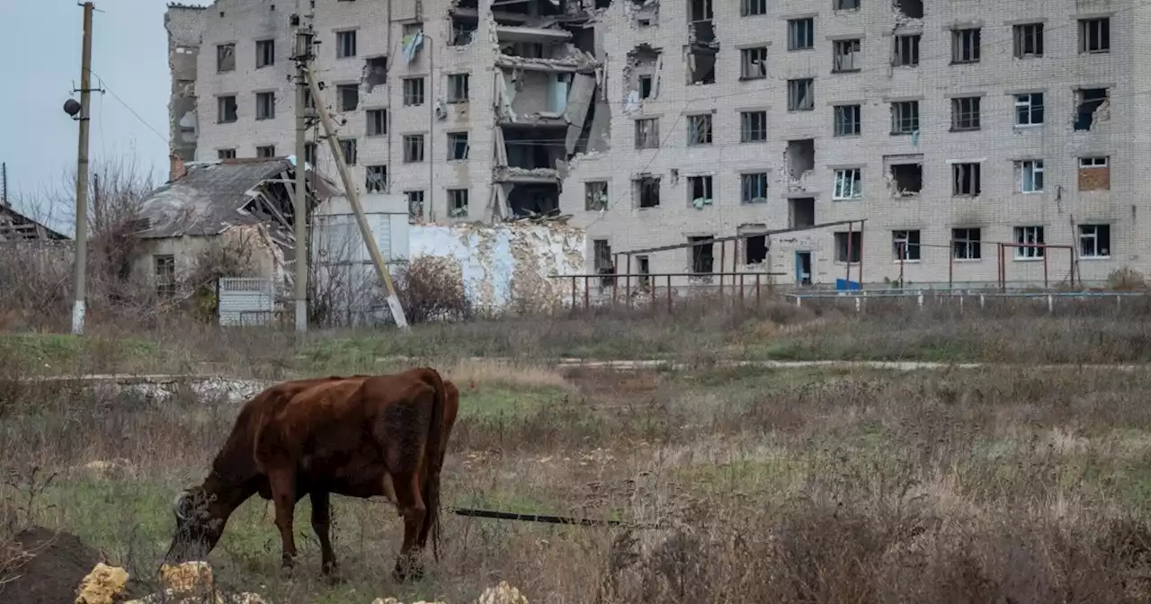 Rusia ordena a sus tropas retirarse de la ciudad ucraniana de Jersón