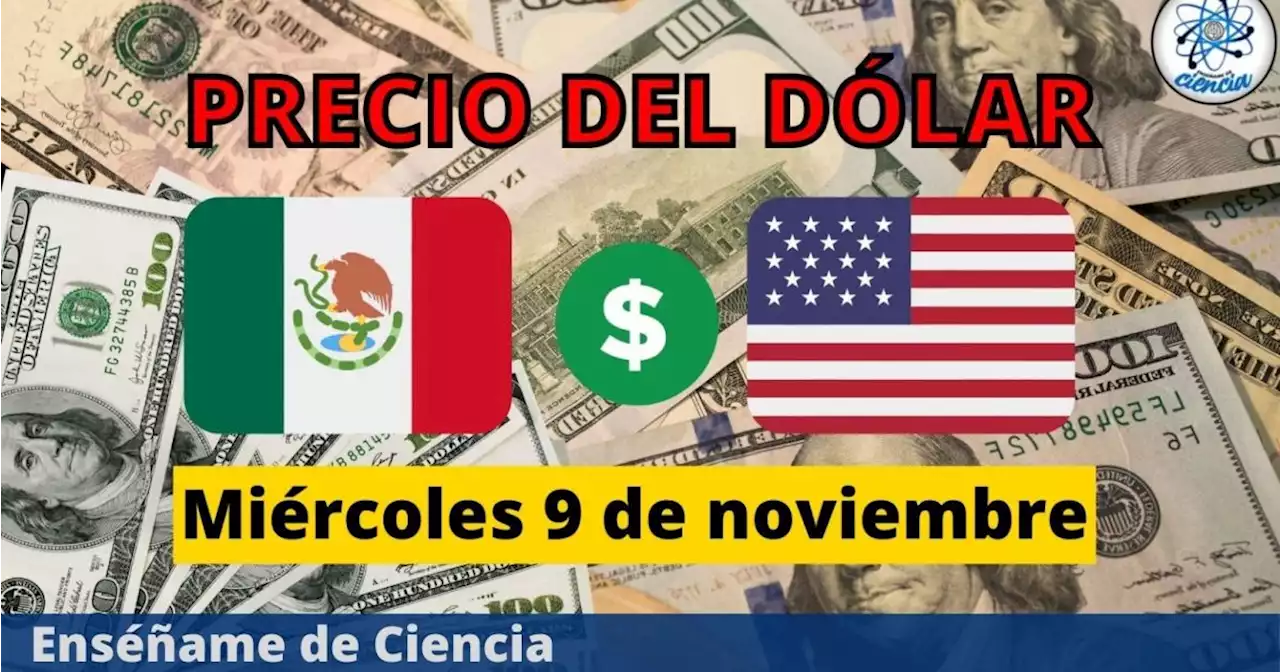 Precio del dólar hoy miércoles 9 de noviembre, ¿cómo amaneció el tipo de cambio en México?