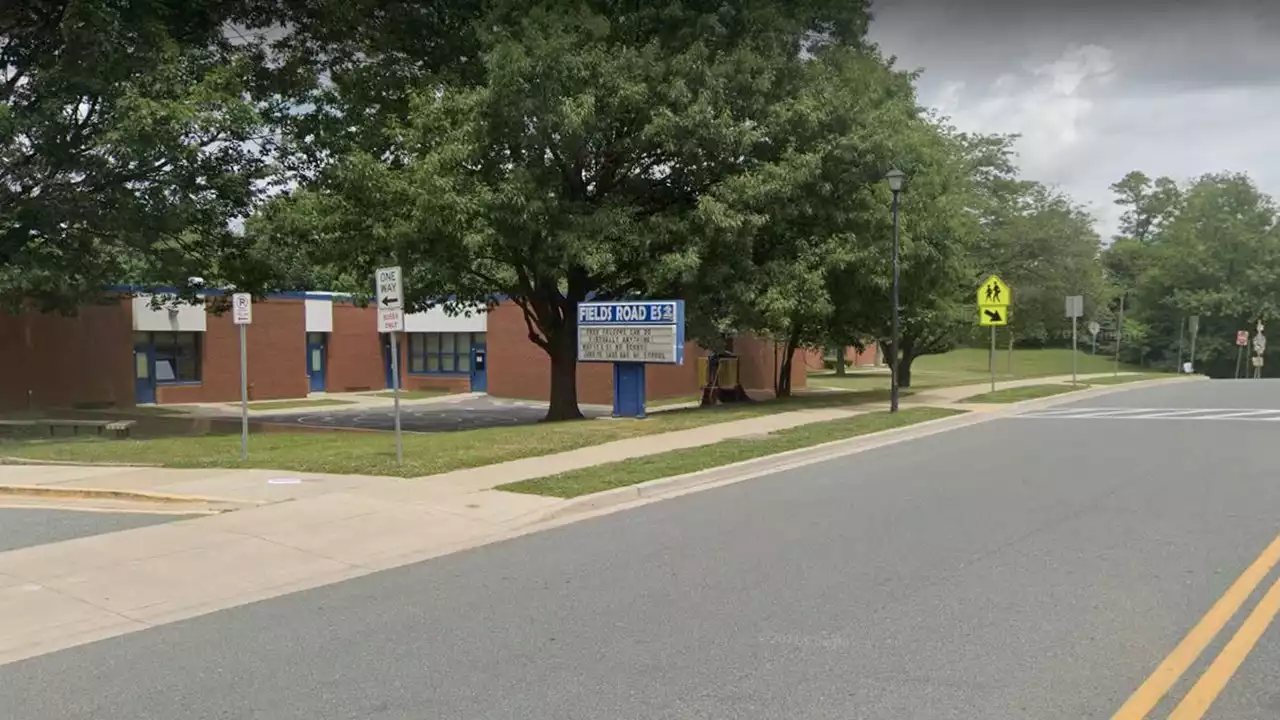 Elderly Maryland couple struck, killed by vehicle near polling center: report