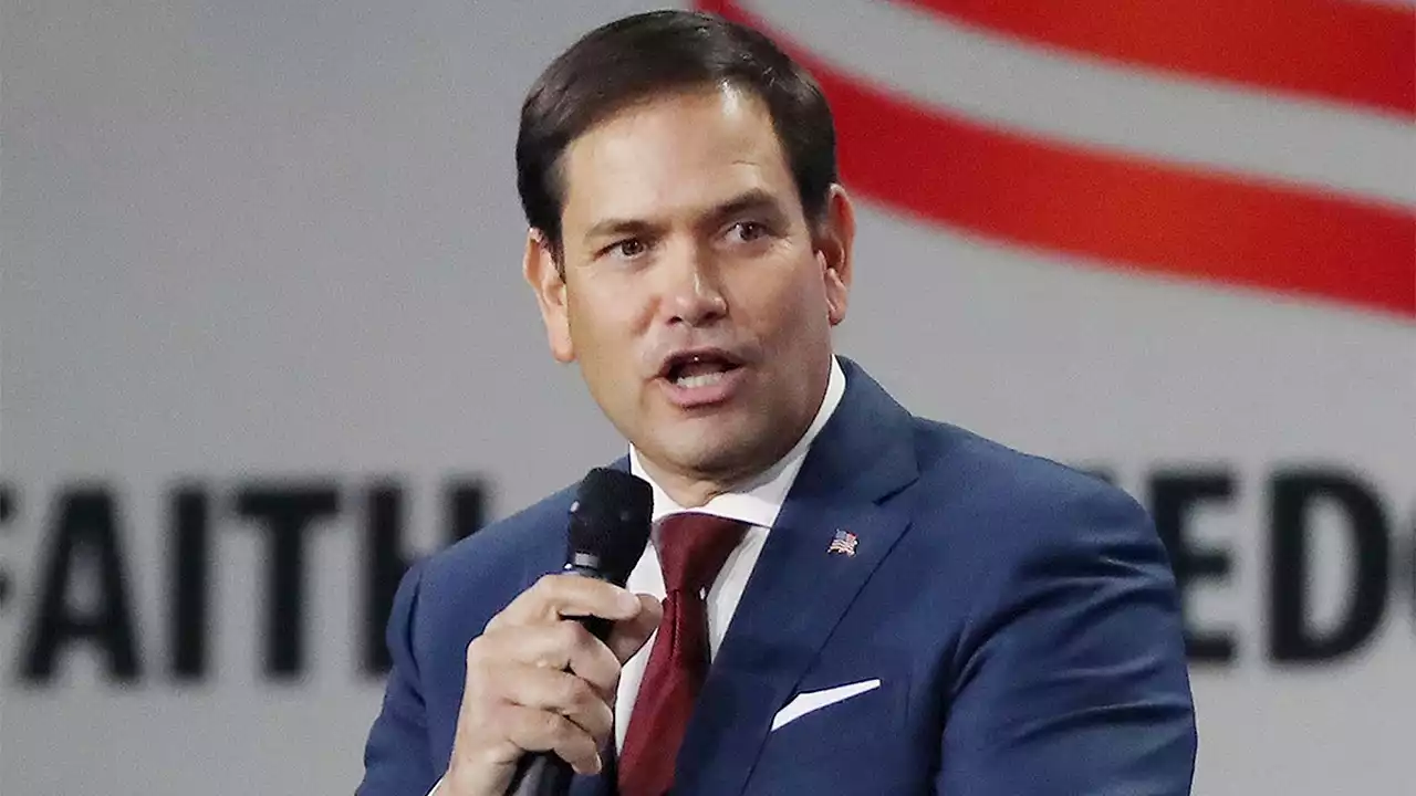 Pro-life group celebrates Rubio as 'hero,' decries 'ostrich strategy' from other GOP candidates