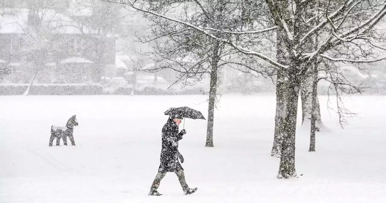 Glasgow white Christmas as city named most likely in UK for snow this winter