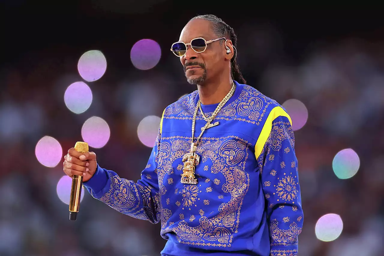 Snoop Dogg makes last-minute pitch to get Houston to vote