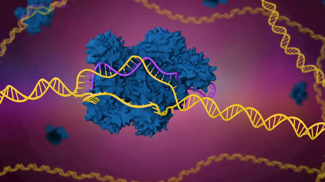 These engineered viruses are delivering DNA to E.coli instead of killing it- here's why