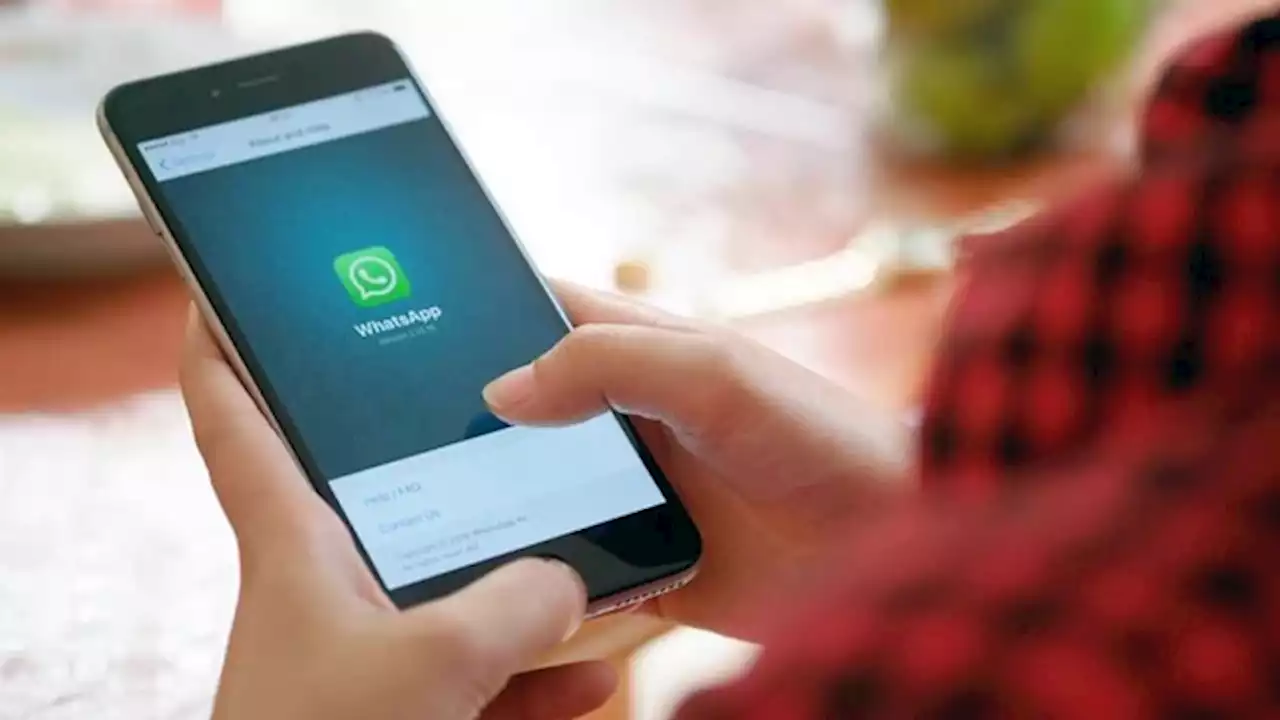 IFE 5 de ANSES: paso a paso, cómo anotarse por WhatsApp