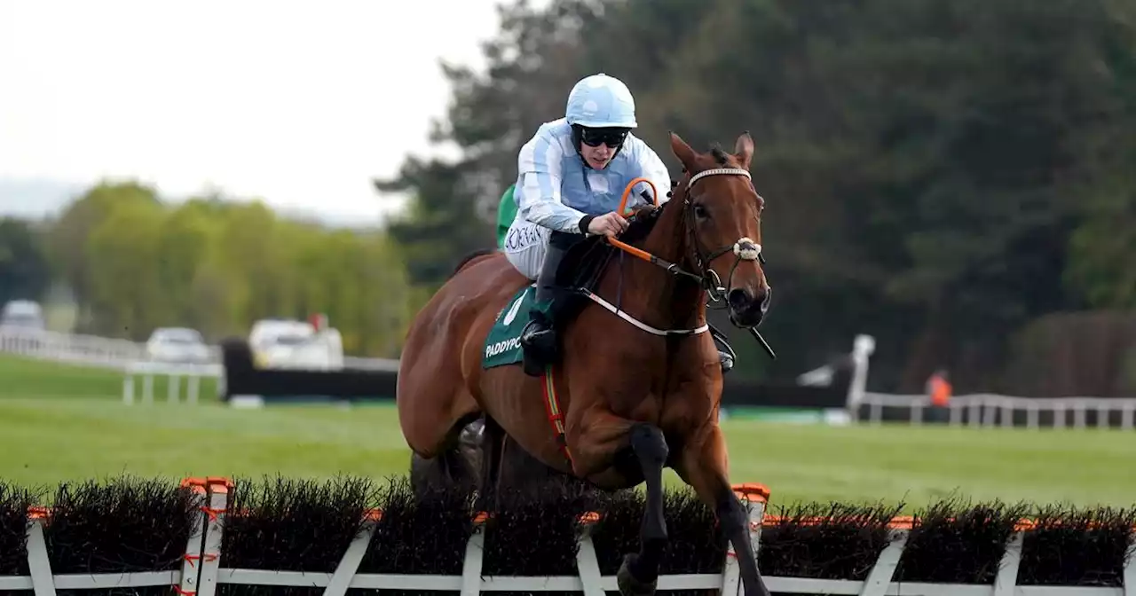Honeysuckle in running to be crowned Horse of the Year for second year in a row