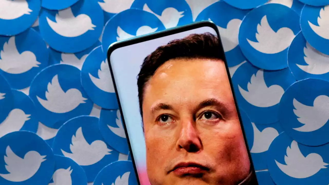 Sur Twitter, Elon Musk demande des comptes aux faux comptes Elon Musk