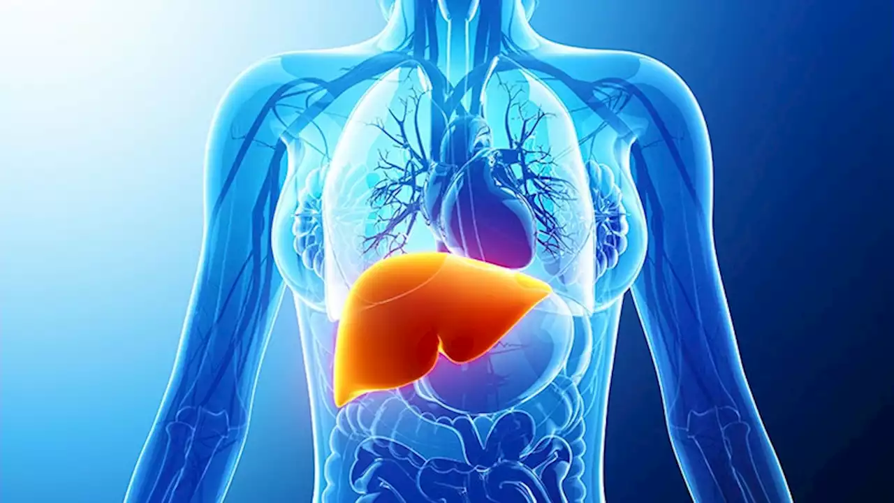 Resmetirom Reduces Liver, CV Risk Factors in NASH With Cirrhosis