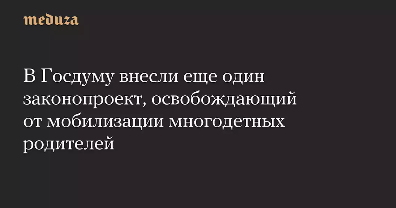 В Госдуму внесли еще один законопроект, освобождающий от мобилизации многодетных родителей — Meduza