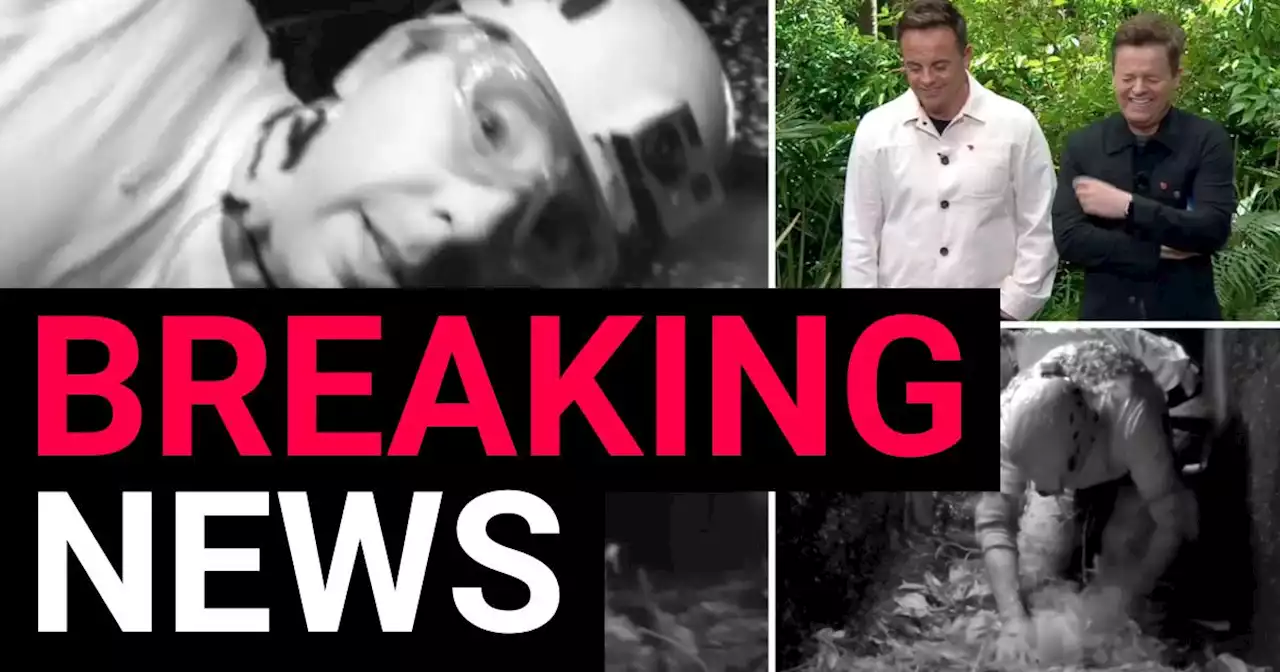 Matt Hancock squeals while battered in slurry and bugs in I'm A Celebrity trial