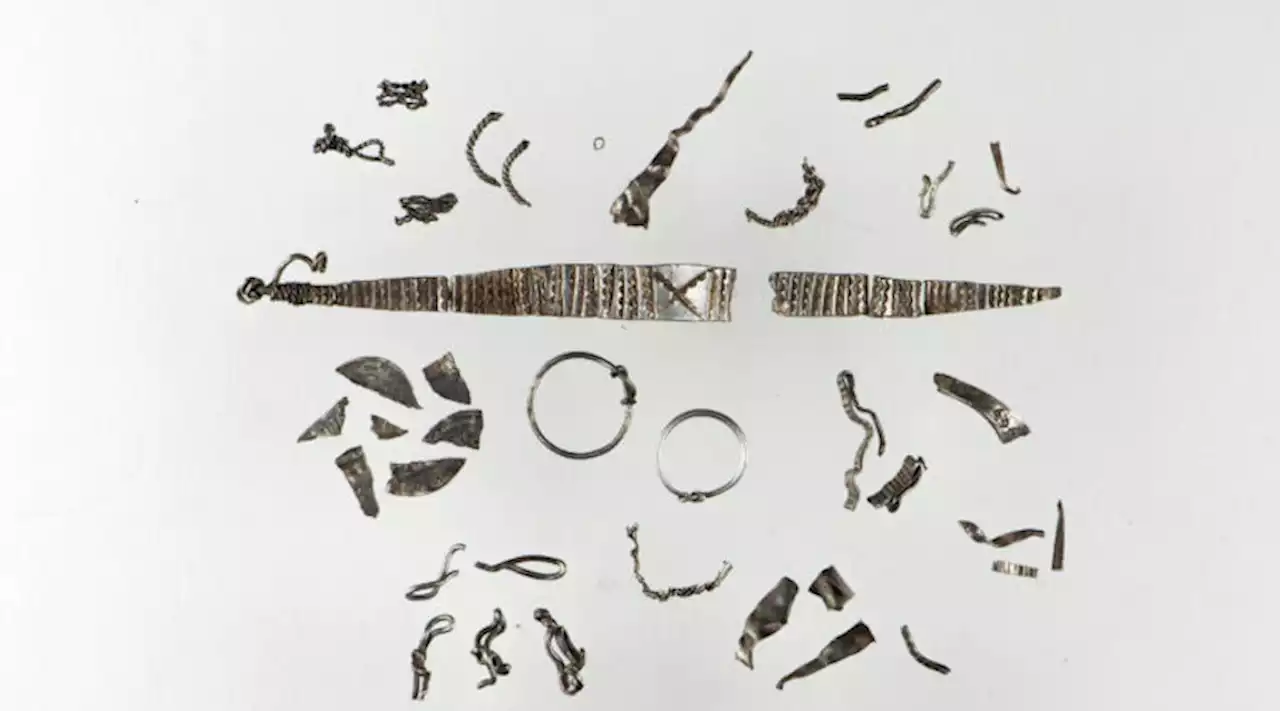 Metal detectorist finds Viking Age silver treasure