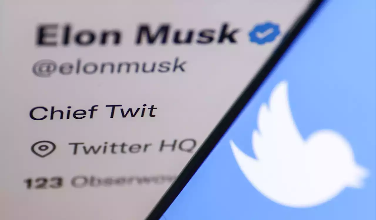 Musk Reportedly Considers Locking All of Twitter Behind a Paywall