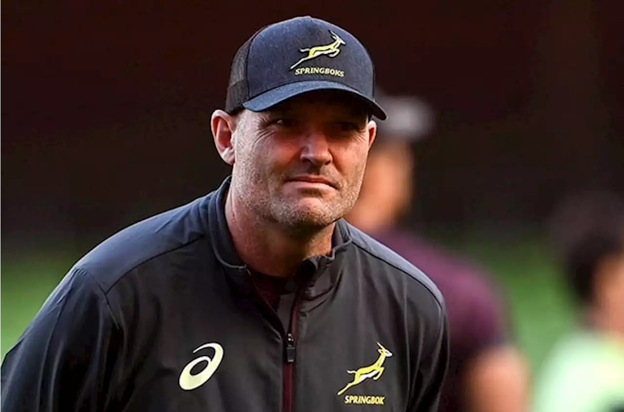 Nienaber calls on Boks to be sharper in opposition 22: 'You have to nail the chances' | Sport