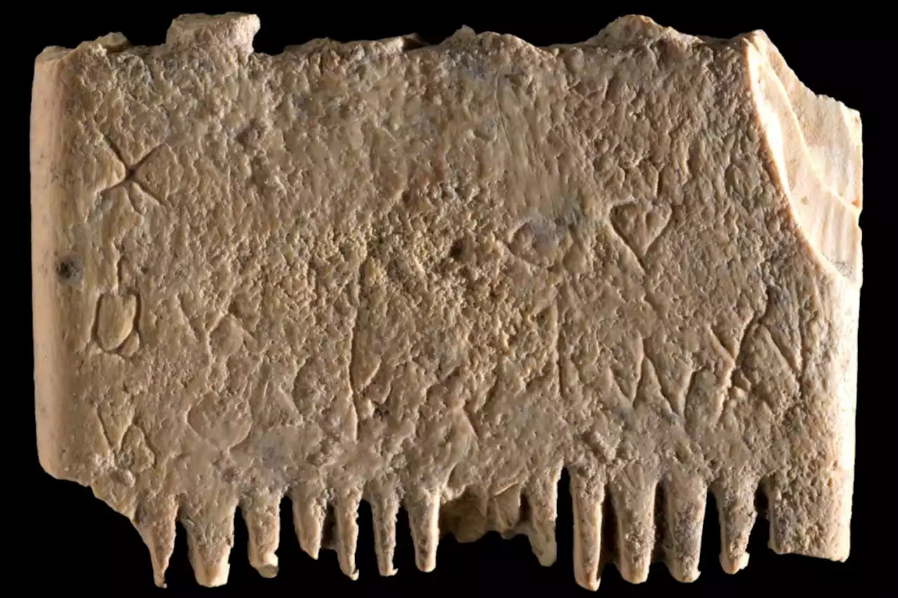 Oldest legible sentence written with first alphabet is about head lice